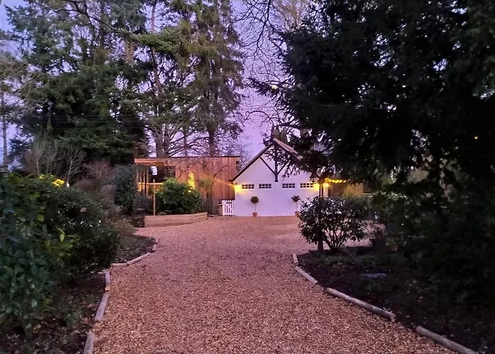 Thatched Eaves